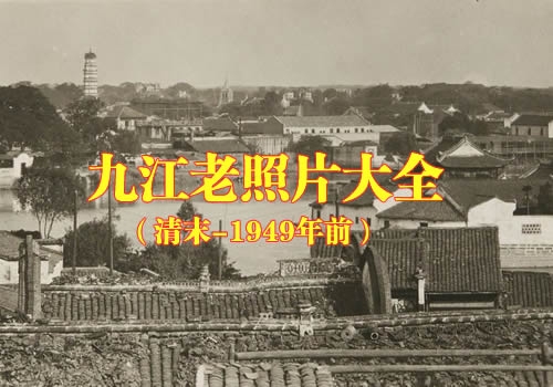 �����Ž�����Ƭ��ȫ